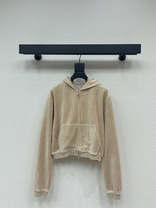 Alexander Wang Early Spring Velvet and Rhinestone Hooded Sweatshirt