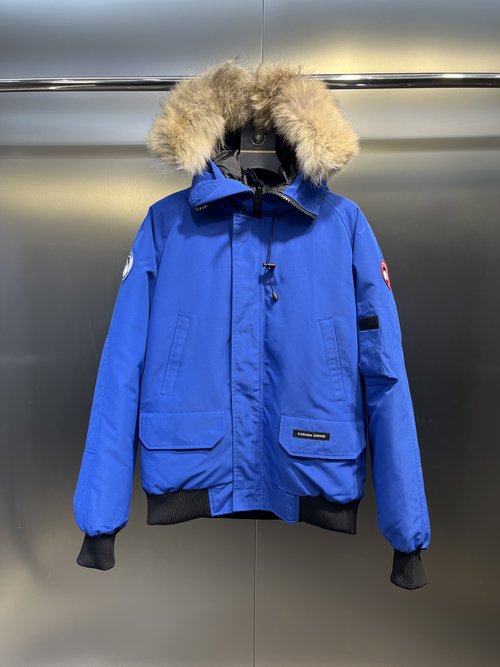 Hermes Short Down Jacket Made of High-quality Materials