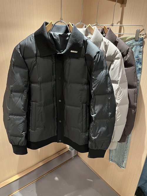Loro Piana Stylish Down Jacket with Unique Patterns